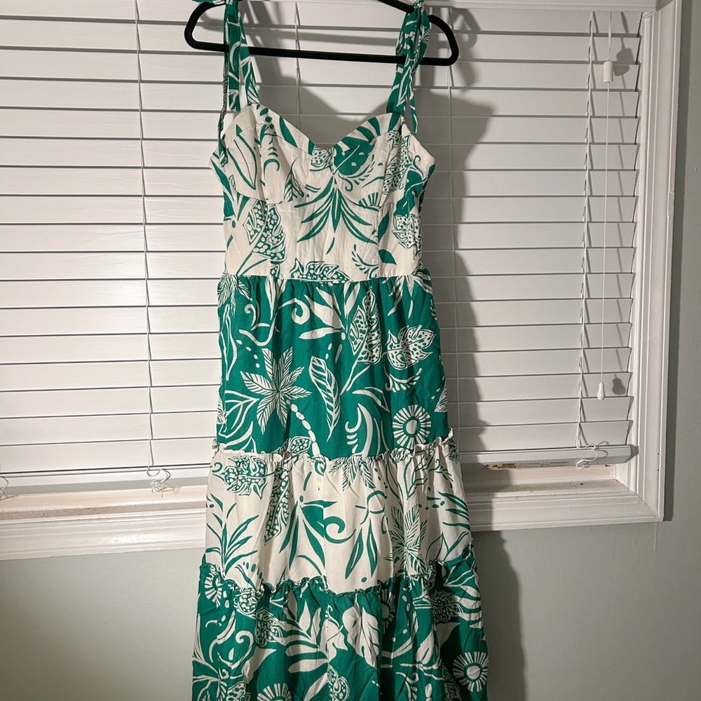 Francesca's Collections Green and White Floral Maxi Dress